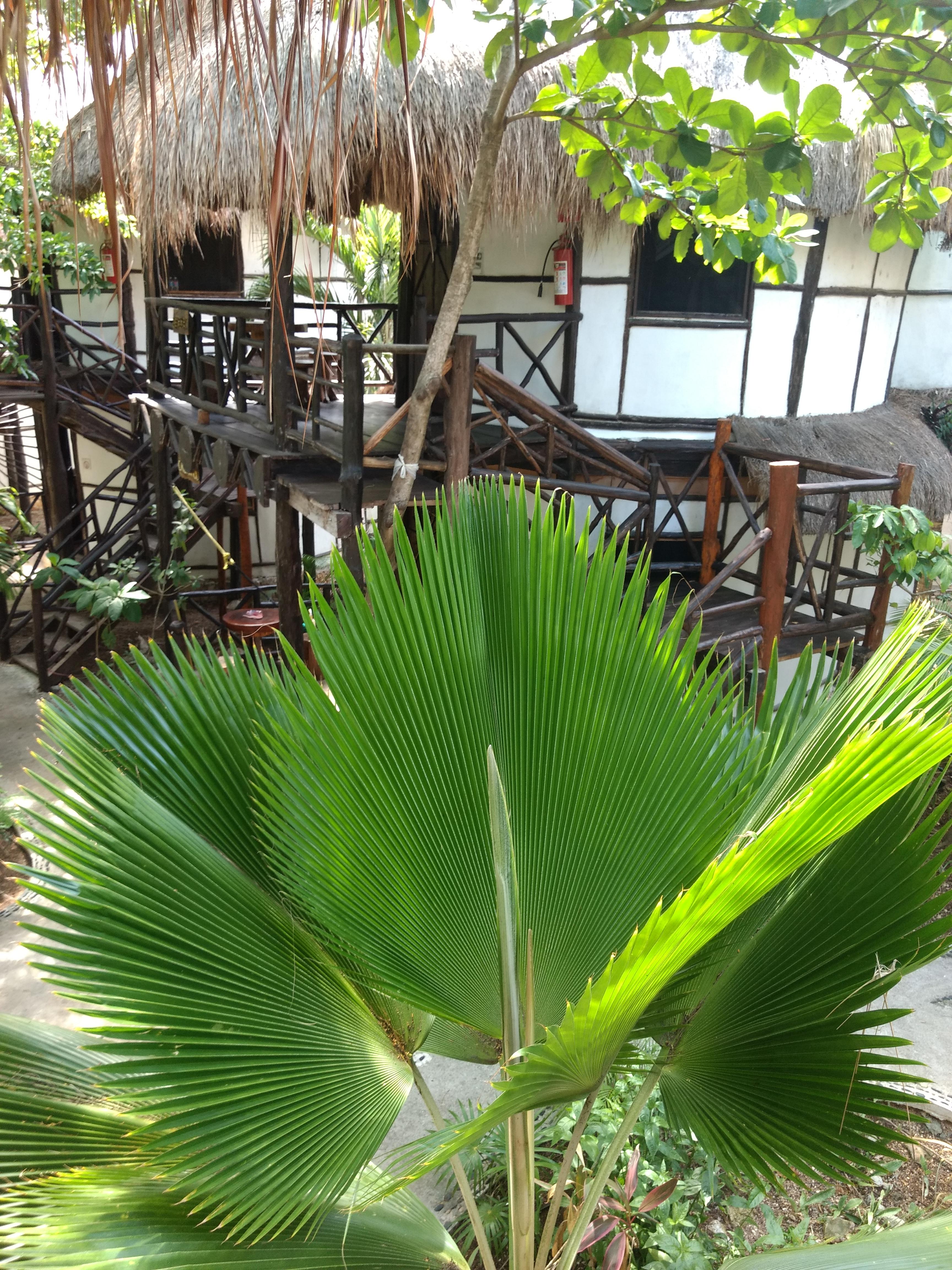 Green Tulum Cabanas & Gardens ภายนอก รูปภาพ
